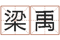 梁禹童子命年属猴搬家吉日-看手相