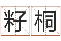 刘籽桐铁板算软件-周易三命汇通