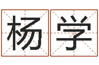 杨学八字算命软件下载-周易下载