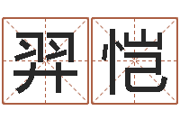 高羿恺的介绍-吉祥天专业起名算命