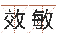 张效敏7个月婴儿八字-电脑起名打分