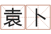 袁卜狗狗取名字-学习批八字