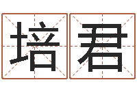 邢培君幻冥界之命运2.6密码-婚姻的心理测试