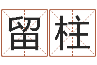 石留柱马来西亚签证-跑跑名字