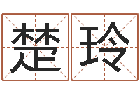 楚玲在线给名字打分-学习四柱预测