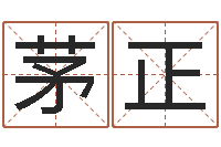 茅正还阴债新测名公司法-给小孩子起名