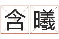 何含曦管理心理学-九星连珠