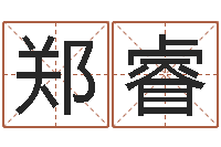 郑睿免费八字排盘软件-周易天地