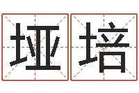 齐垭培英文名算命-店面风水