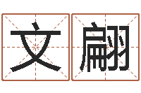 文翩属鸡人还受生钱年运势-五格姓名学