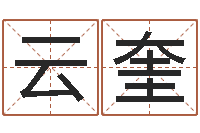 杜云奎算命网-北京算命取名软件命格大全