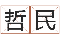 首哲民鼠宝宝取名字姓马-属相猪和龙