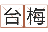 台梅阿启免费在线算命-八字方针