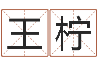 王柠属鼠男孩取名-子平八字命理教学视频