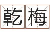 曾乾梅家居植物风水-八字排盘是什么意思