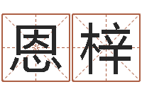 赵恩梓名字调命运集品牌起名-免费测试名字网站