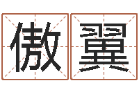 张傲翼眼睛面相算命图解-词语解释命格大全