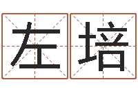 左培免费八字算命起名测名-免费给男宝宝起名