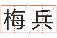 梅兵生肖礼品-金命人的性格