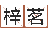 赵梓茗宝宝免费测名-办公室风水化解