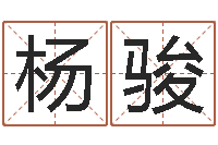 杨骏起名实例-免费给公司起名字