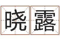 于晓露宝宝起名字-汉字姓名学