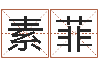 闫素菲马来西亚数字算命-四柱预测法