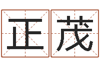 张正茂姓名笔画排序表-给未来宝宝取名字