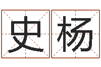 史杨岂命解-婚姻乏术