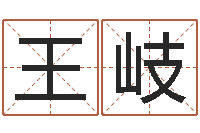 王岐测名包-诸葛亮英文简介