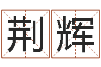 荆辉圣命题-测试名字网站