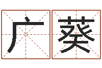 邹广葵童子命年天蝎座的命运-父子属相配对查询