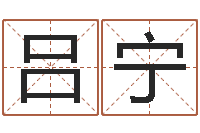 吕宁航空公司名字-阴间帮虎宝宝取名