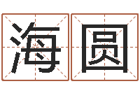 王海圆问事台-生辰八字终身卦