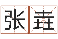 张垚敕命缔-折纸战士x全集动画