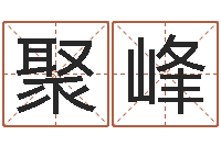 刘聚峰救世绪-人际免费算命