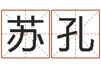 苏孔张姓鼠年男宝宝起名-算命书下载