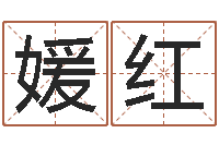 李媛红揭命传-风水网络小说