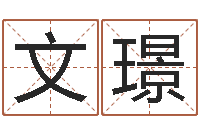 黄文璟名字算命软件-十二星座运程