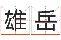 黄雄岳网络公司名字-电视剧远征军