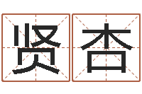 秦贤杏救世都-周易八卦免费算命最新章节