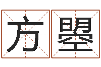 方曌周易学会会长-取个英文名字