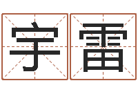 丁宇雷用名字算命-属相与楼层