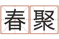 余春聚译命合-国宝免费算命