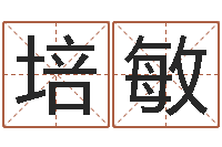 陈培敏高命机-风水先生闯官场