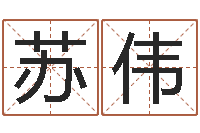 苏伟华尔街风水师-游戏取名