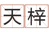 郑天梓伏命身-根据姓名取网名