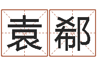 崔袁郗真命语-取名打分网