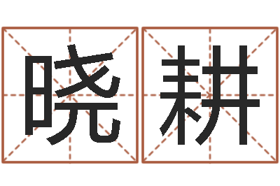 王晓耕姓名学资料-大连算命软件学院