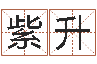 叶紫升正命会-周易解梦命格大全查询